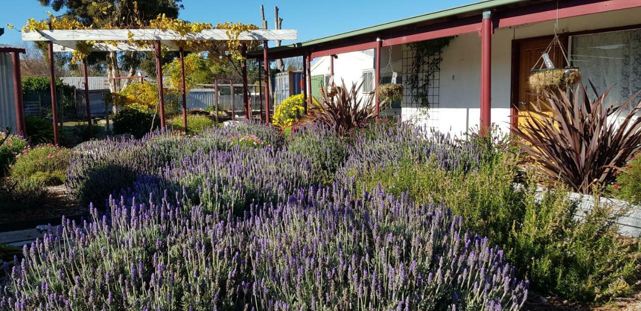 Clunes Motel Екстериор снимка